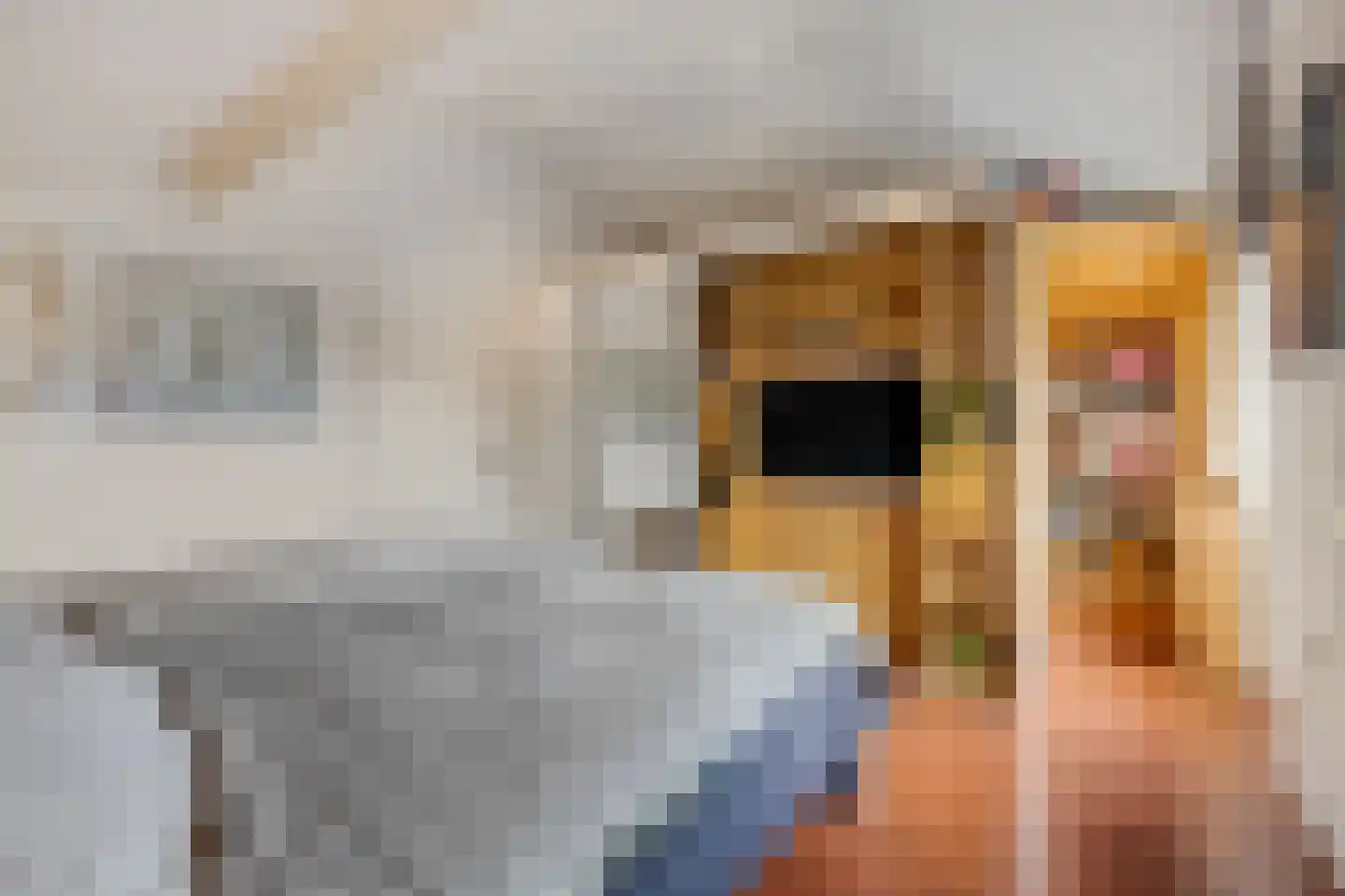 Jasmijnstraat 32 Opheusden thumbnail 27