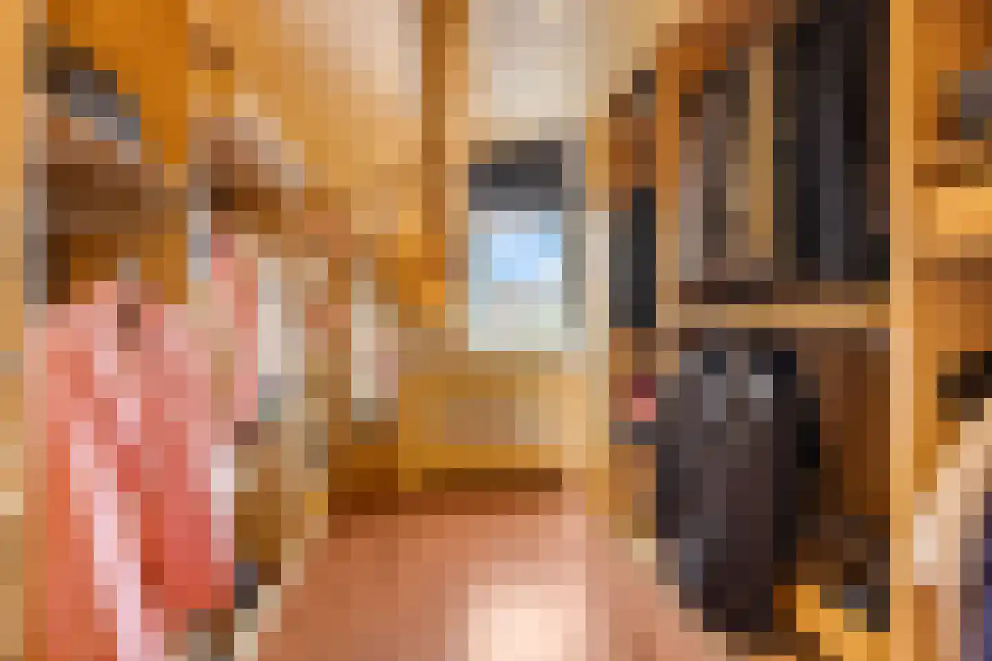 Jasmijnstraat 32 Opheusden thumbnail 32