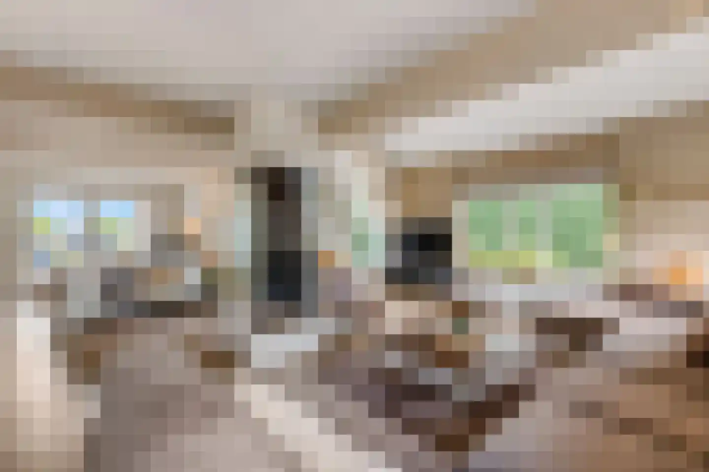Jasmijnstraat 32 Opheusden thumbnail 4