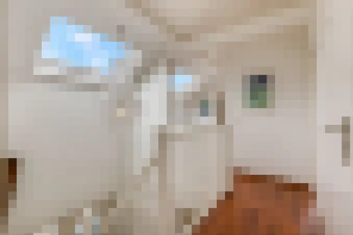 Jasmijnstraat 32 Opheusden thumbnail 42