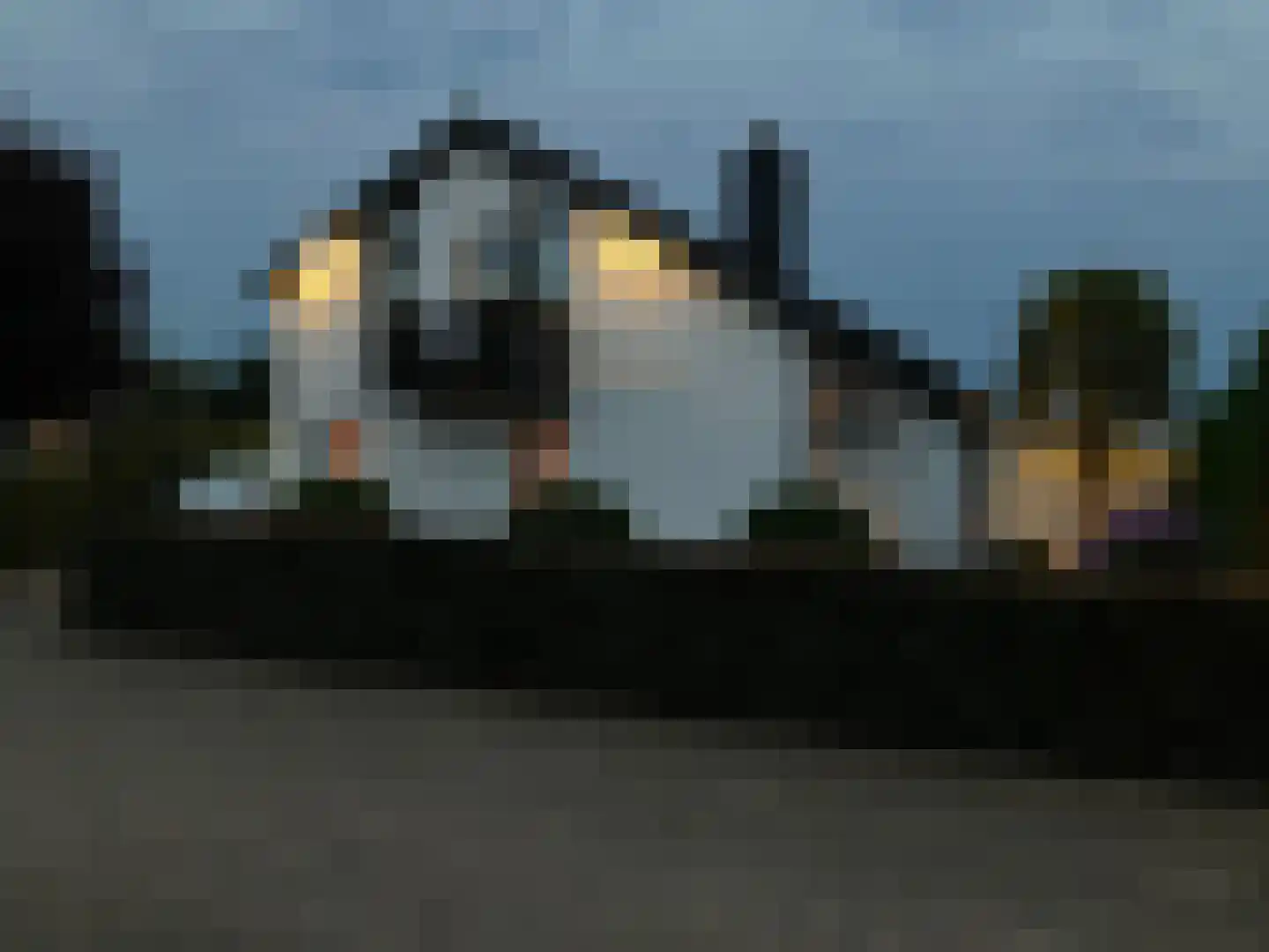 Jasmijnstraat 32 Opheusden thumbnail 67