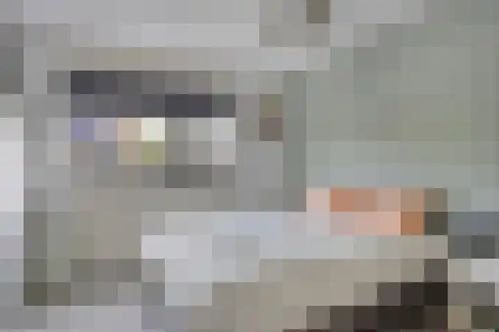 Jasmijnstraat 326 Vaassen thumbnail 15
