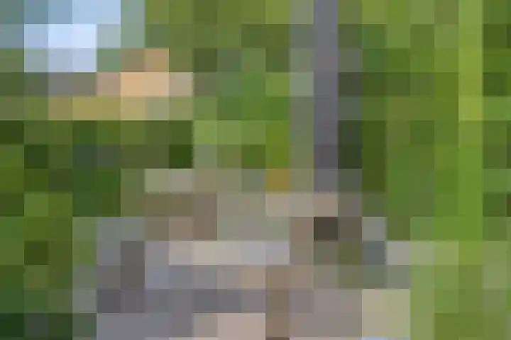 Jasmijnstraat 326 Vaassen thumbnail 31