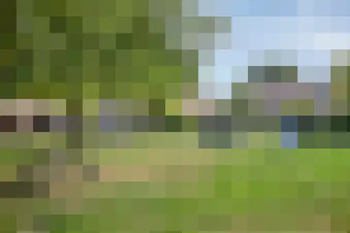 Jasmijnstraat 326 Vaassen thumbnail 32