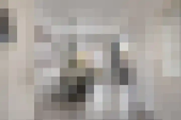 Jasmijnstraat 326 Vaassen thumbnail 9