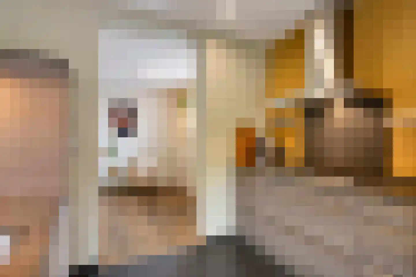 Jasmijnstraat 33 Sint-Oedenrode thumbnail 28