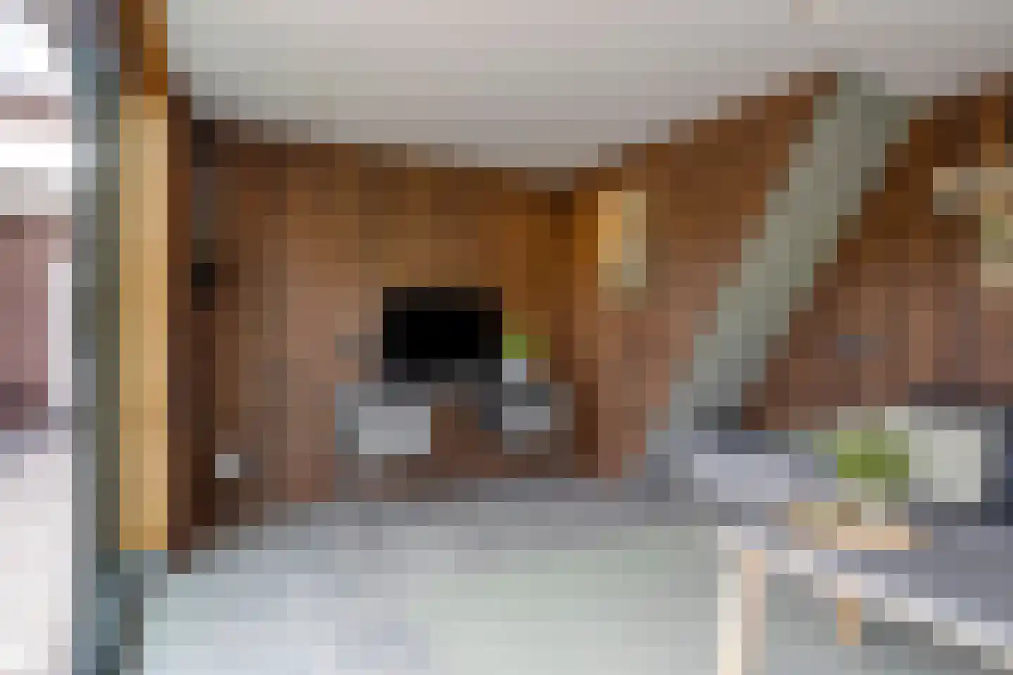 Jasmijnstraat 33 Sint-Oedenrode thumbnail 56