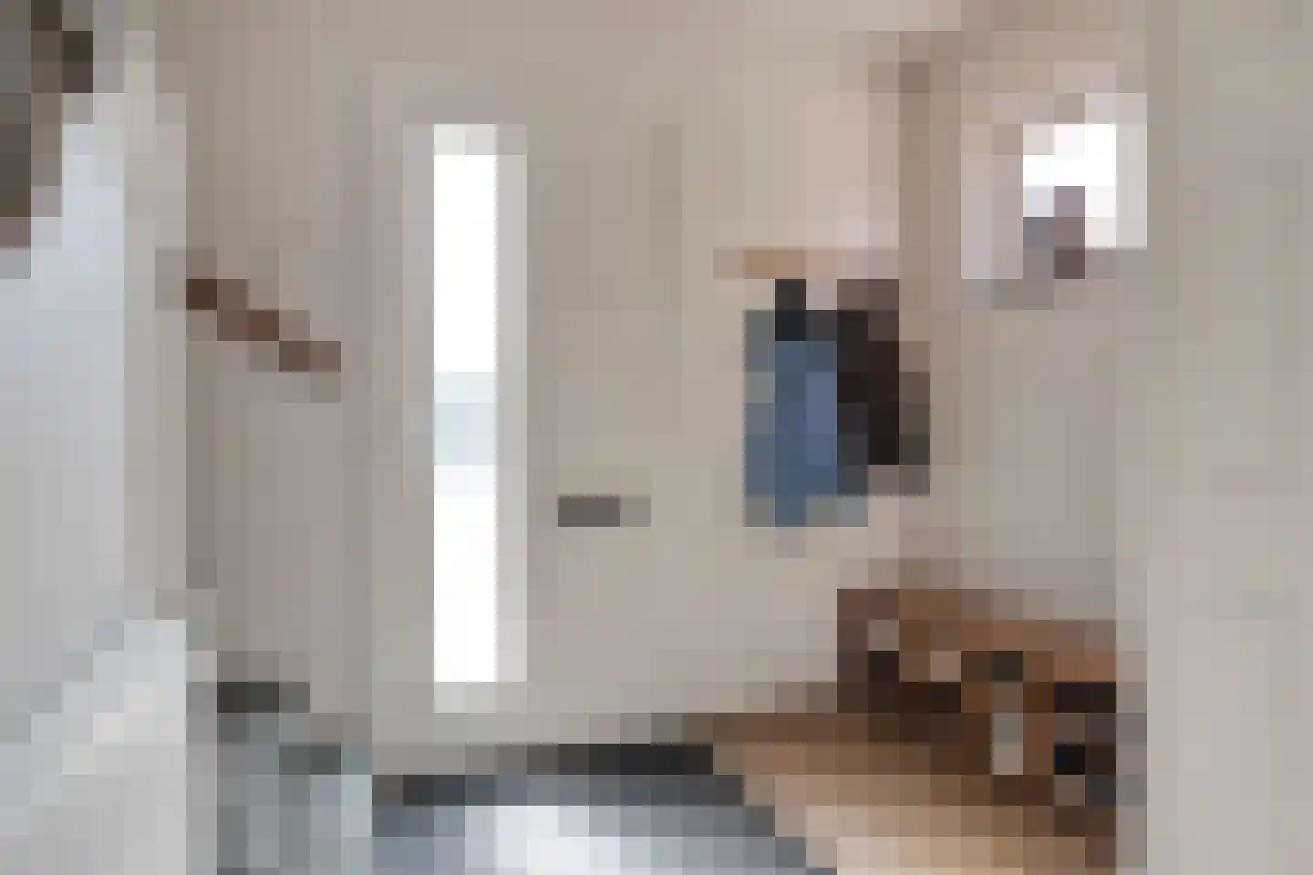 Jasmijnstraat 33 Sint-Oedenrode thumbnail 9