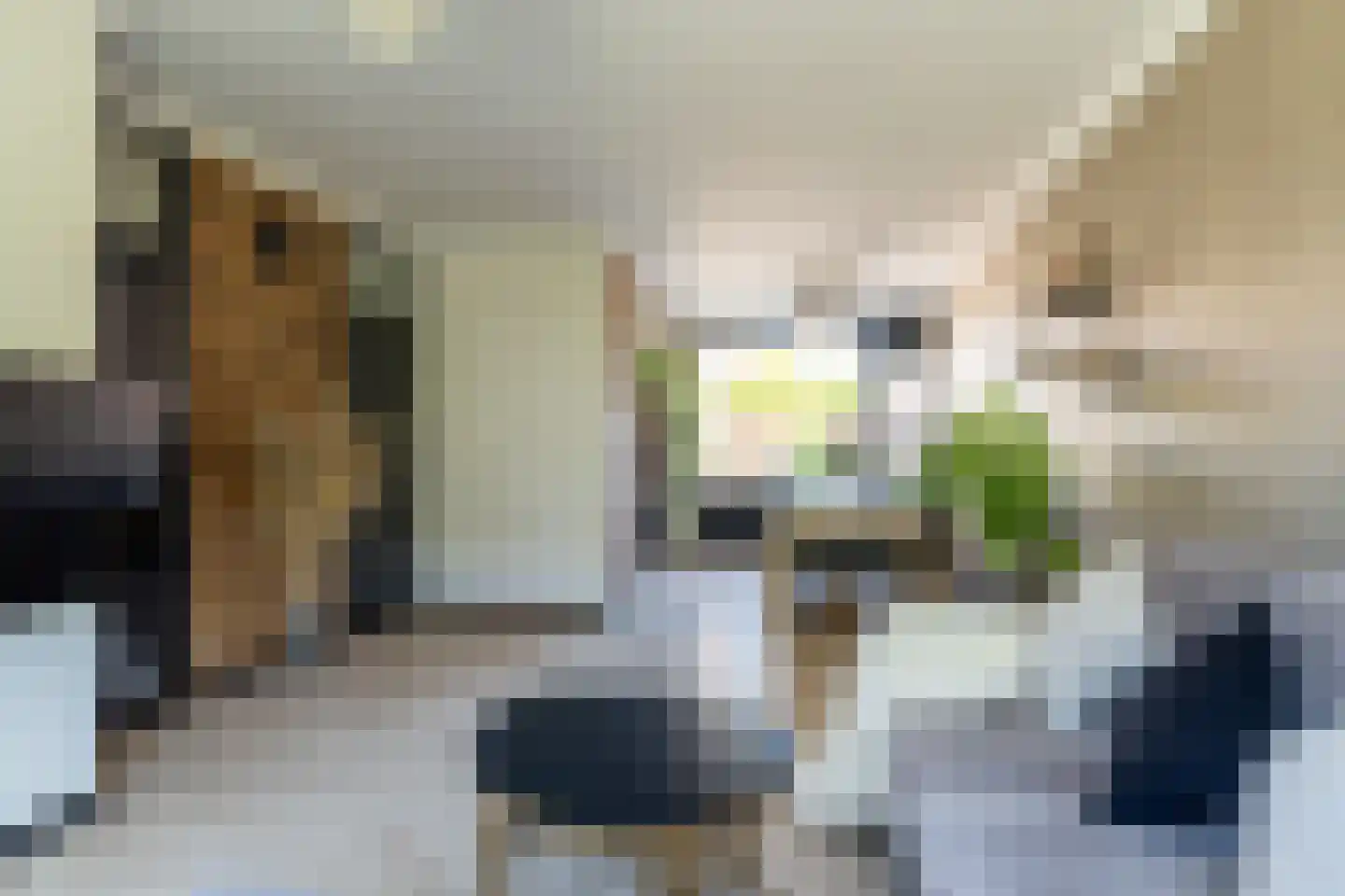 Jasmijnstraat 33 Wijk en Aalburg thumbnail 6