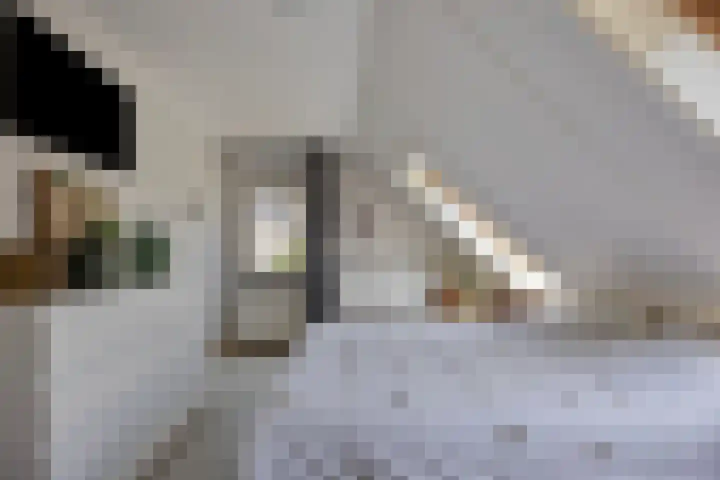 Jasmijnstraat 35 Almere thumbnail 18