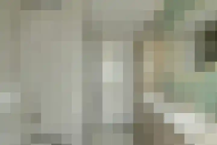 Jasmijnstraat 37 Breda thumbnail 31