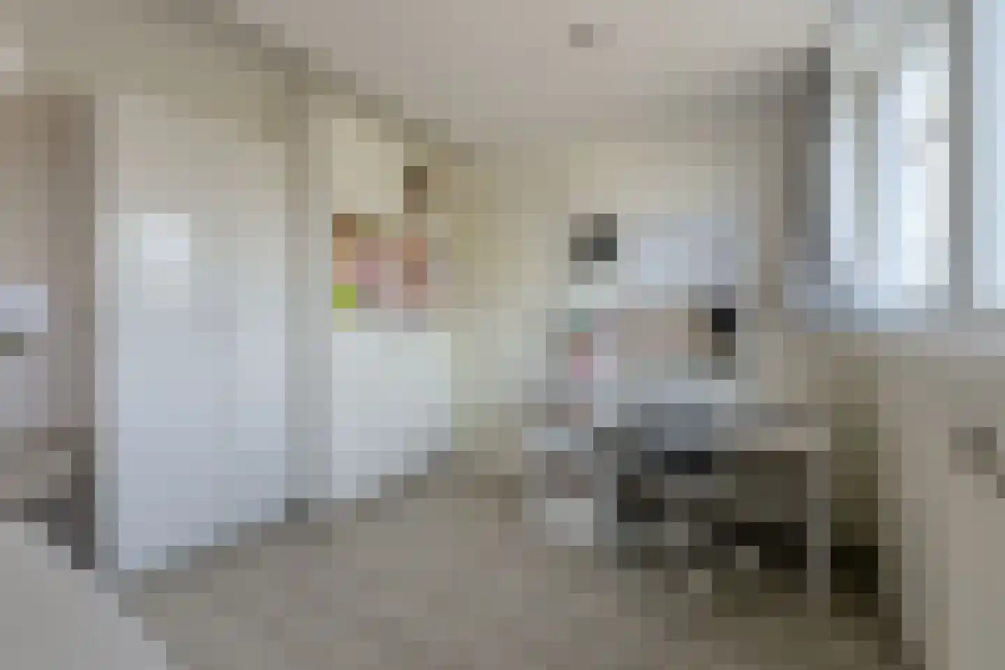 Jasmijnstraat 37 Breda thumbnail 38