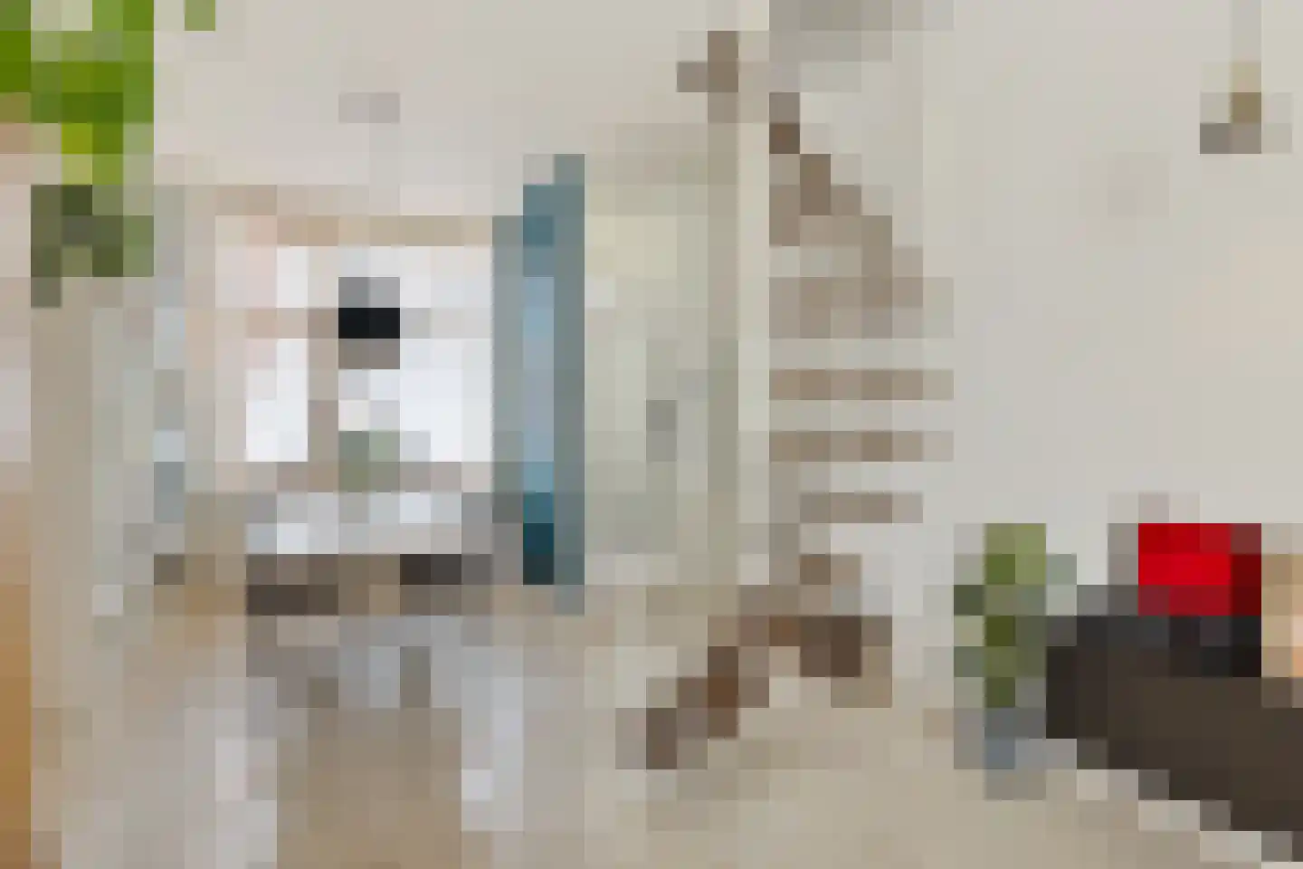 Jasmijnstraat 37 Utrecht thumbnail 12