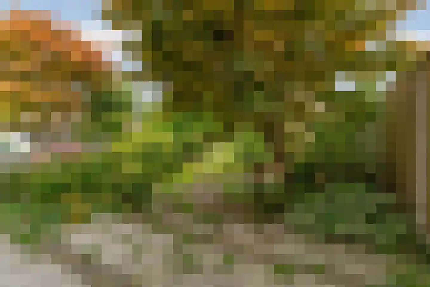 Jasmijnstraat 39 Almere thumbnail 28