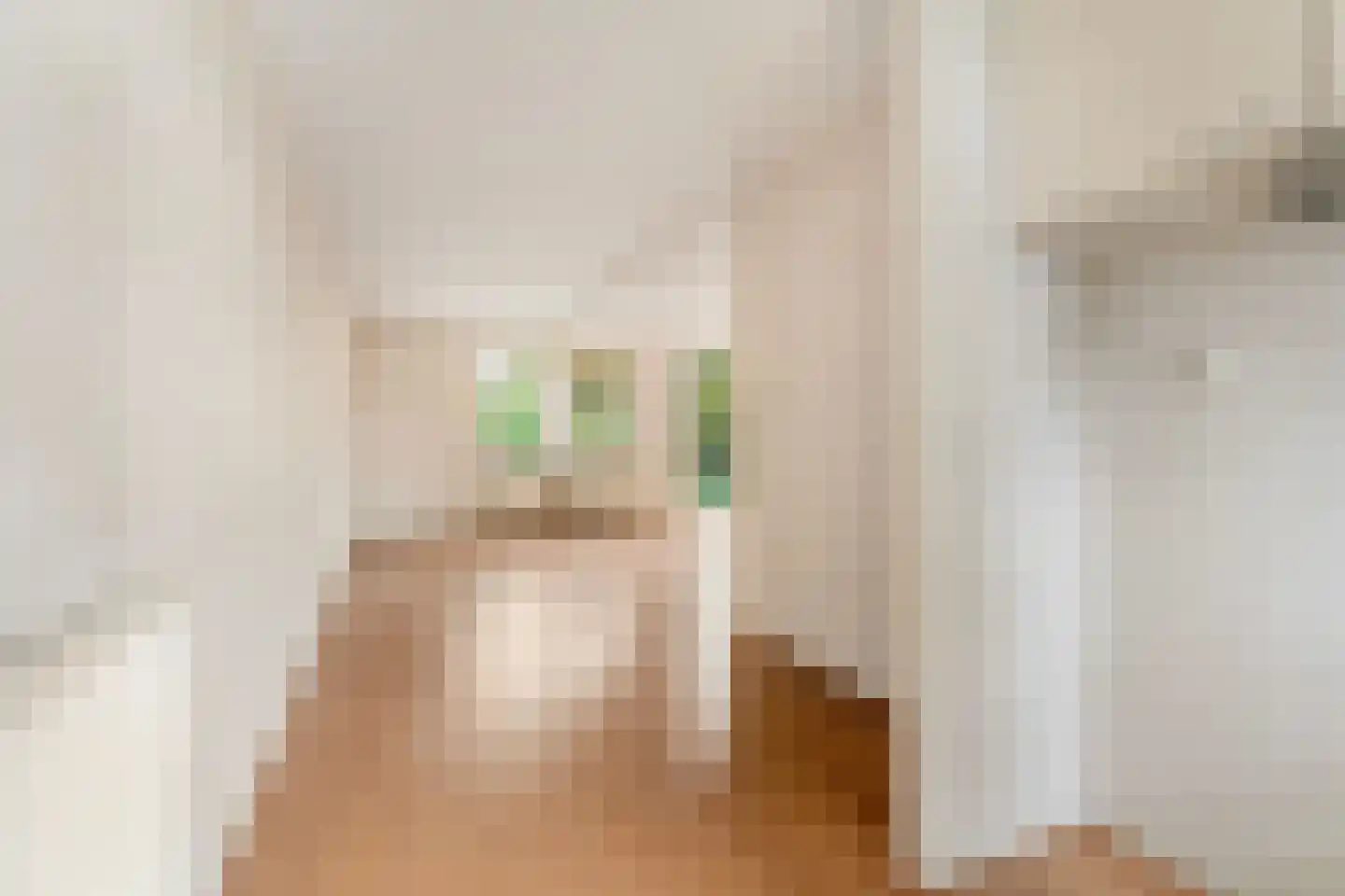 Jasmijnstraat 39 Almere thumbnail 7