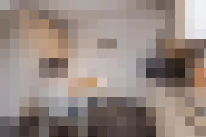 Jasmijnstraat 4 Halsteren thumbnail 11