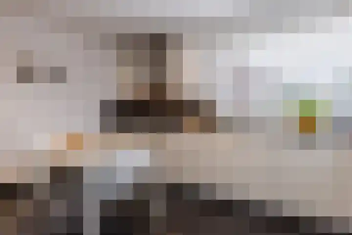 Jasmijnstraat 4 Halsteren thumbnail 12