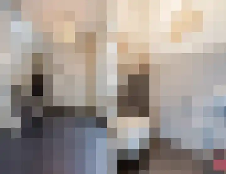 Jasmijnstraat 4 Halsteren thumbnail 16