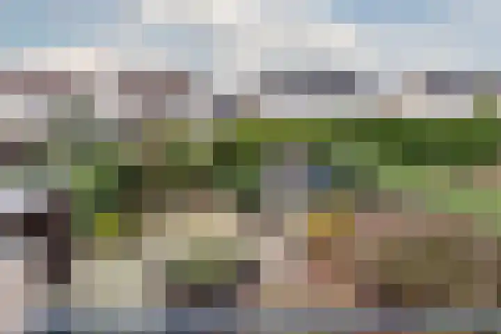Jasmijnstraat 4 Halsteren thumbnail 4