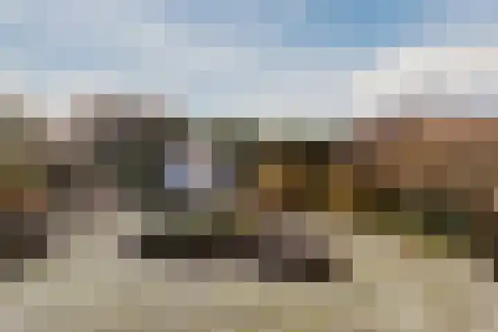Jasmijnstraat 4 Halsteren thumbnail 40