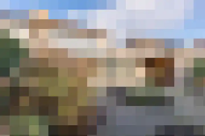 Jasmijnstraat 4 Halsteren thumbnail 41