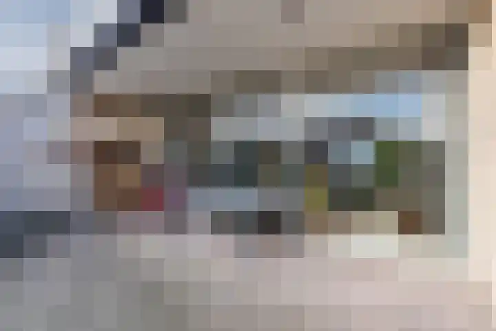 Jasmijnstraat 4 Halsteren thumbnail 43