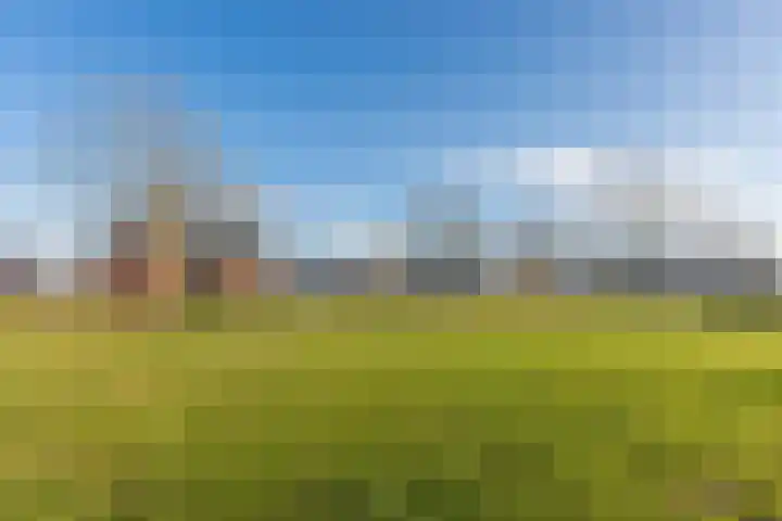 Jasmijnstraat 4 Halsteren thumbnail 48