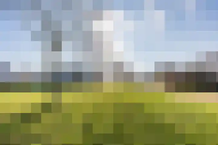 Jasmijnstraat 4 Halsteren thumbnail 49