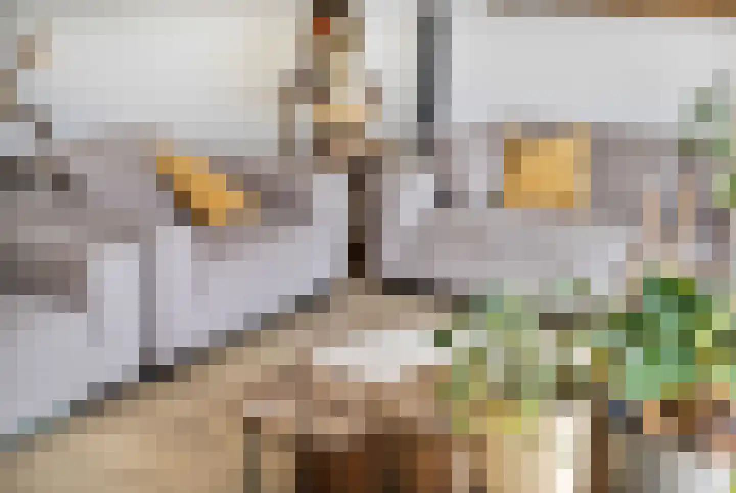 Jasmijnstraat 4 Monster thumbnail 12