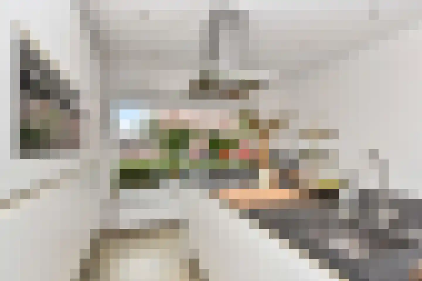 Jasmijnstraat 4 Monster thumbnail 15