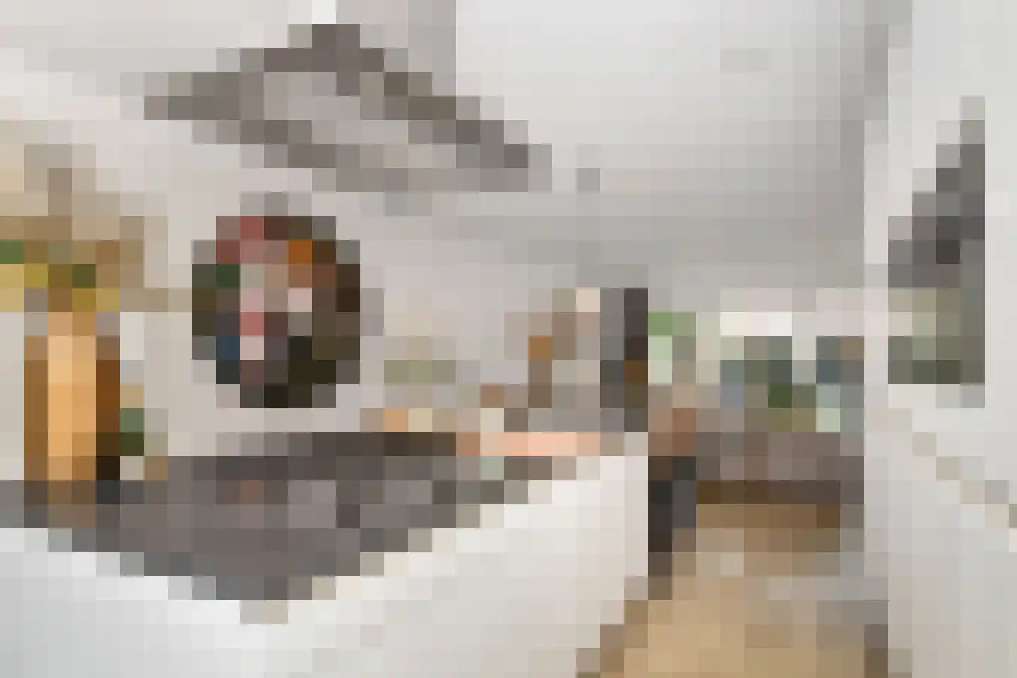 Jasmijnstraat 4 Monster thumbnail 19