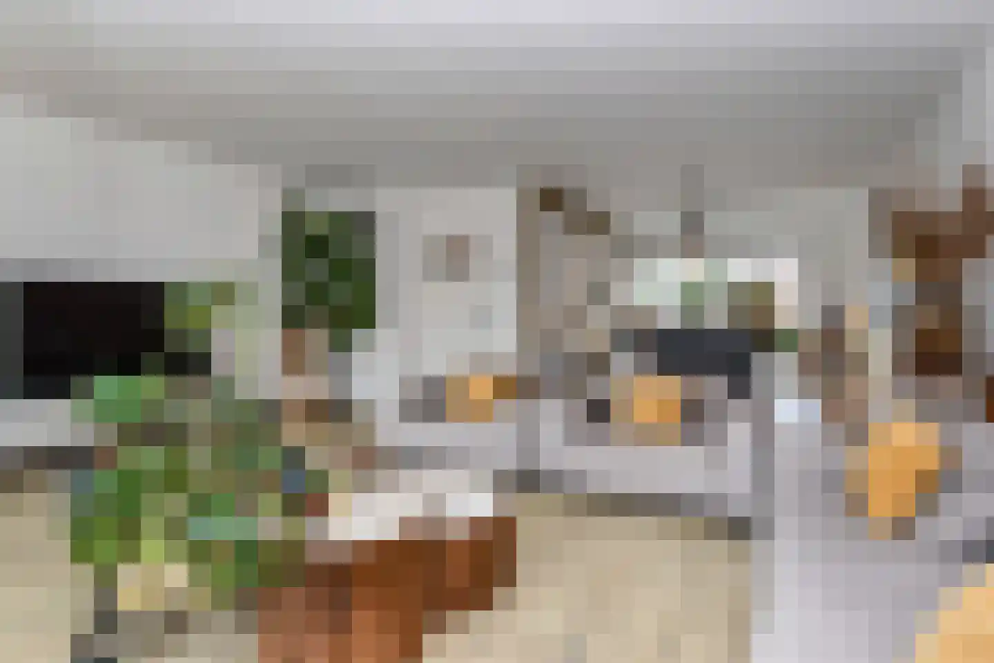 Jasmijnstraat 4 Monster thumbnail 7