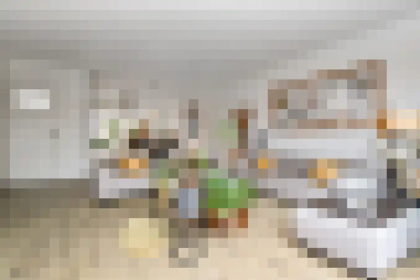 Jasmijnstraat 4 Monster thumbnail 9