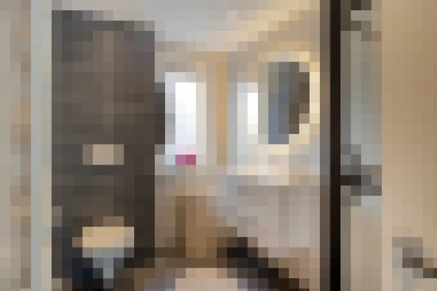 Jasmijnstraat 4 Tilburg thumbnail 22