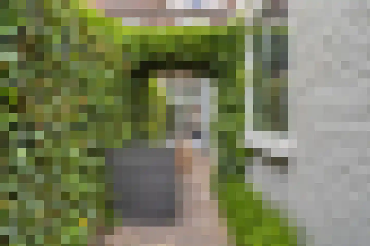 Jasmijnstraat 4 Tilburg thumbnail 31