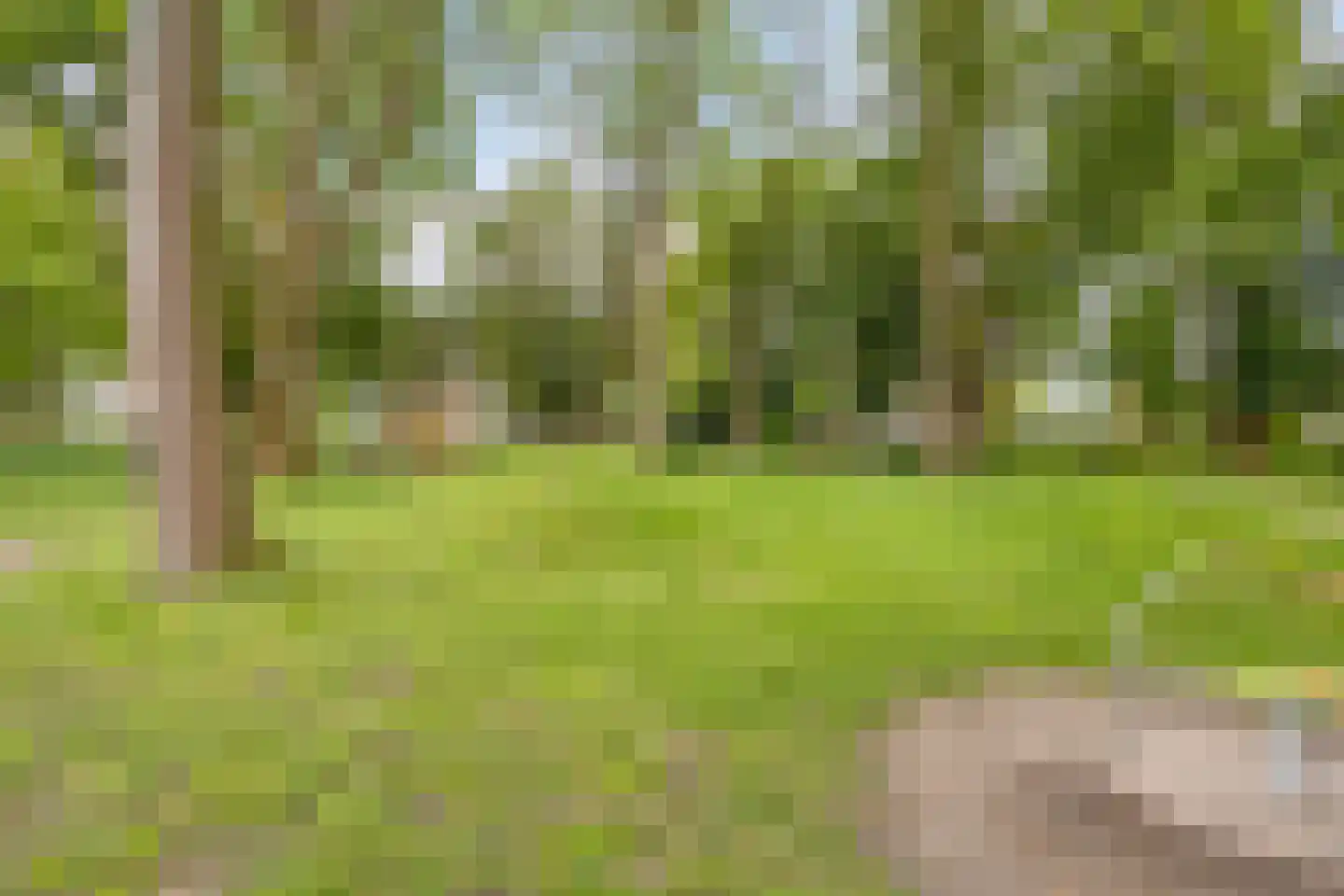 Jasmijnstraat 4 Tilburg thumbnail 36