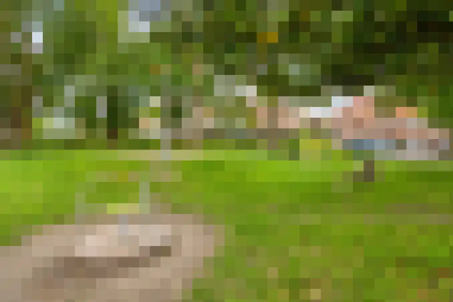 Jasmijnstraat 4 Tilburg thumbnail 37