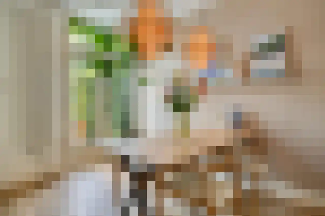 Jasmijnstraat 4 Tilburg thumbnail 9