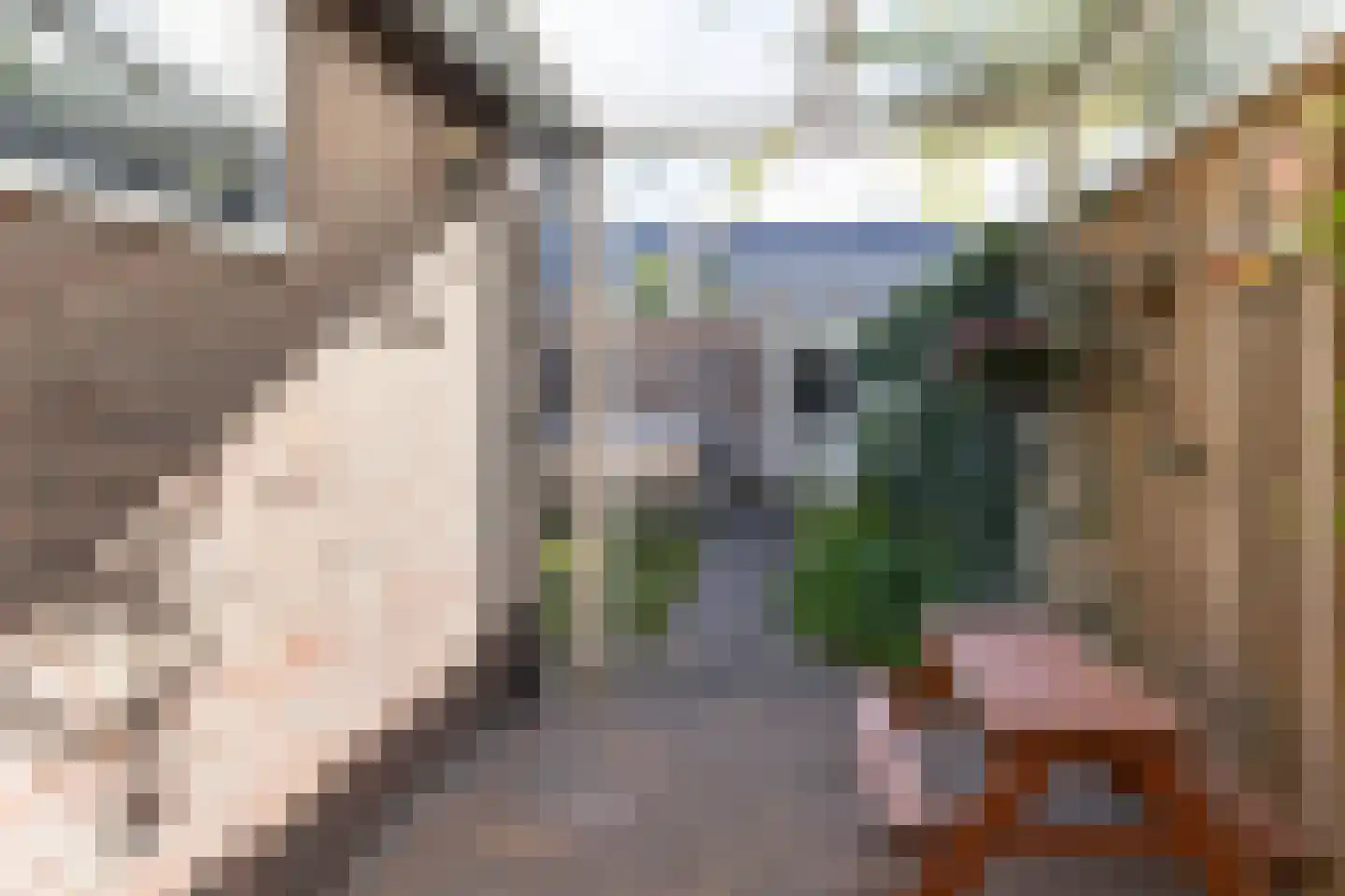 Jasmijnstraat 40 De Bilt thumbnail 32