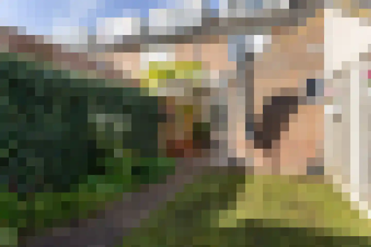 Jasmijnstraat 40 De Bilt thumbnail 36