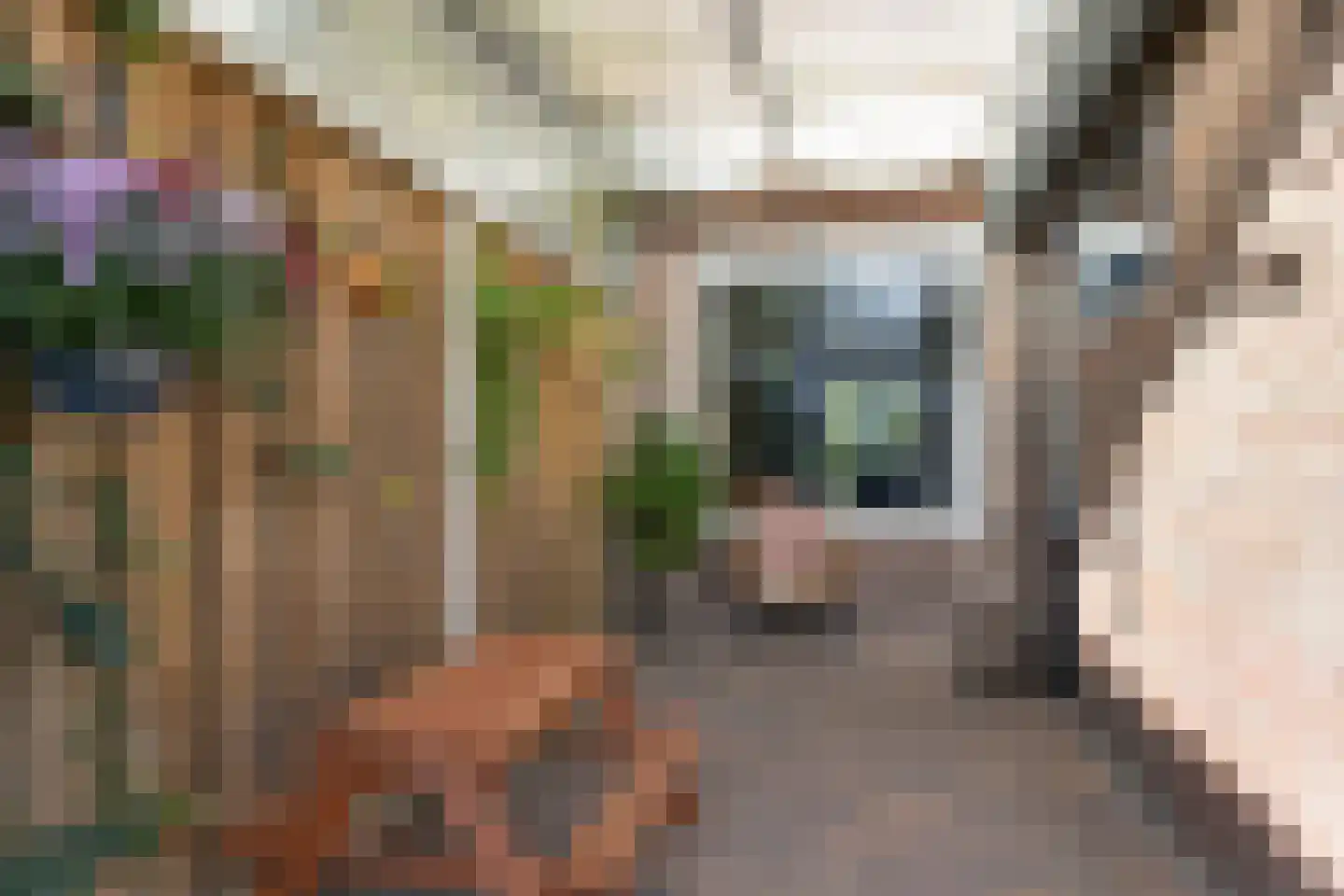 Jasmijnstraat 40 De Bilt thumbnail 37