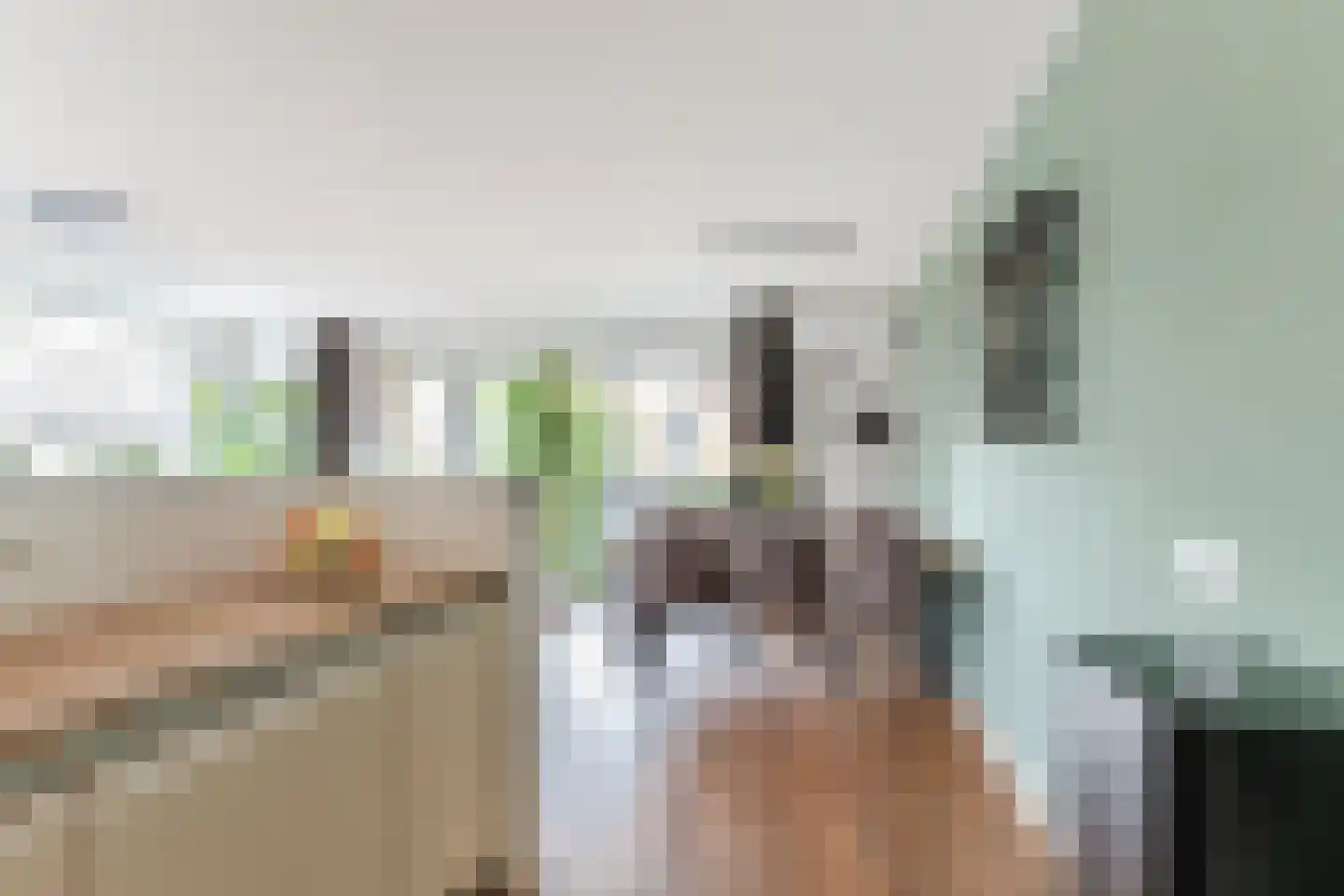 Jasmijnstraat 44 Wijk en Aalburg thumbnail 14