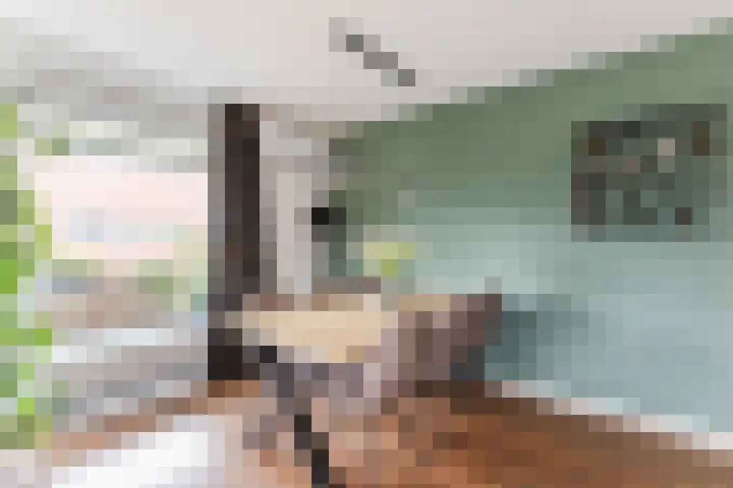 Jasmijnstraat 44 Wijk en Aalburg thumbnail 16