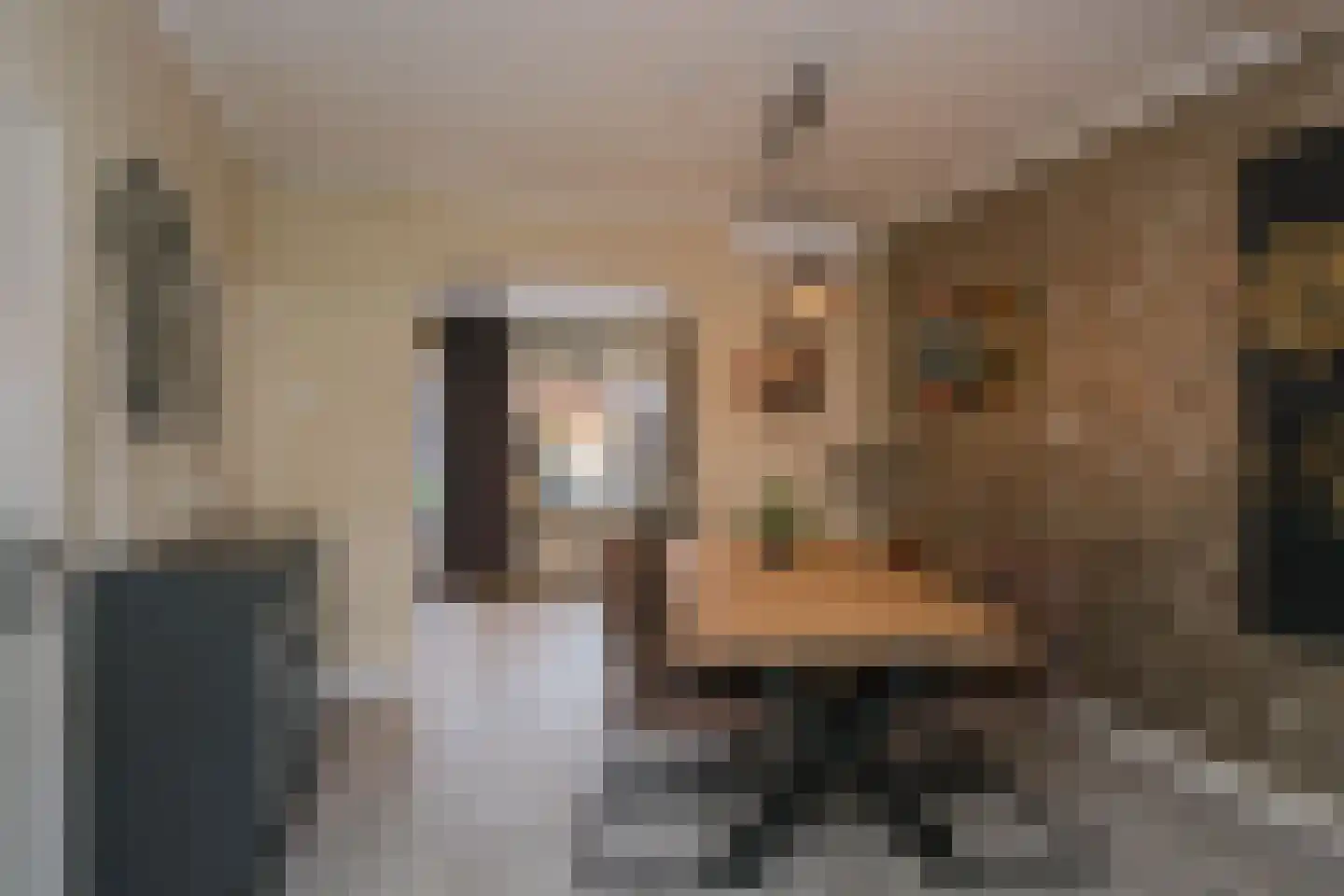 Jasmijnstraat 45 Almelo thumbnail 10