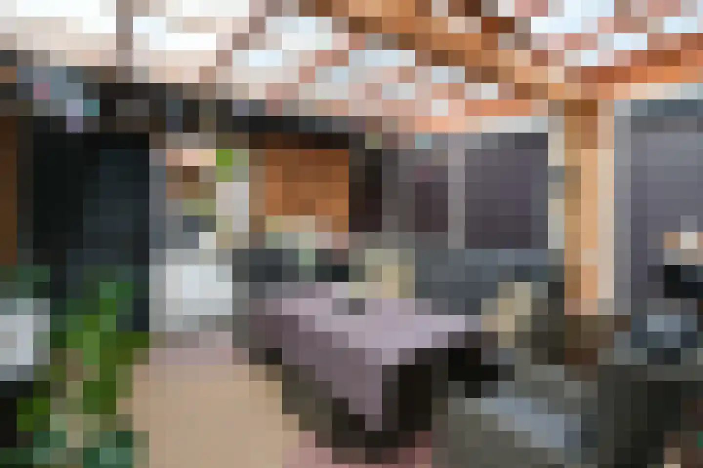 Jasmijnstraat 45 Almelo thumbnail 23