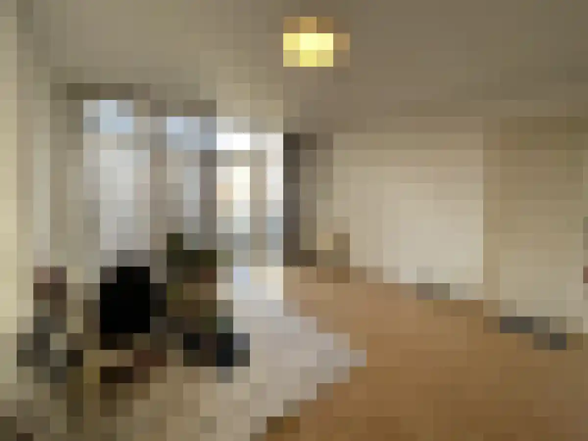 Jasmijnstraat 47 Den Haag thumbnail 4