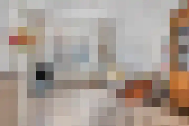 Jasmijnstraat 47 Middelburg thumbnail 4
