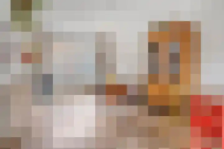 Jasmijnstraat 47 Middelburg thumbnail 6