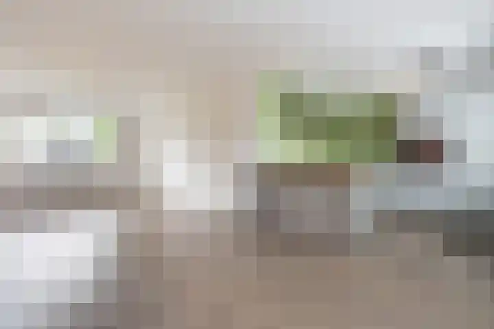 Jasmijnstraat 47 Vaassen thumbnail 11