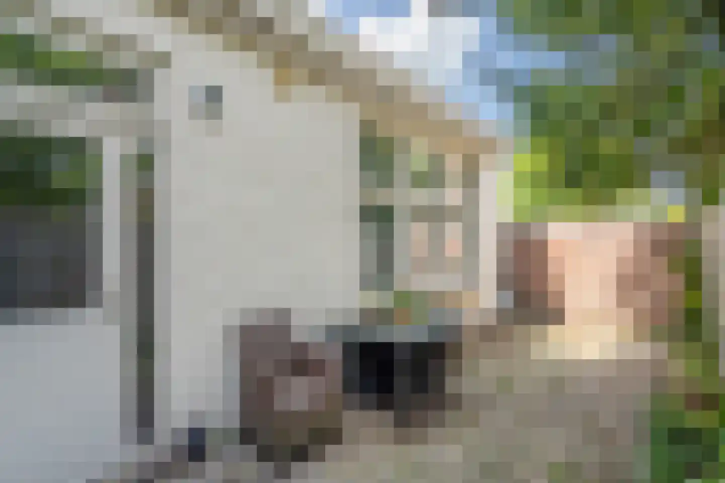 Jasmijnstraat 5 Den Haag thumbnail 14
